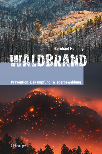 Waldbrand - Bernhard Henning