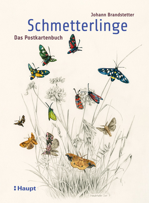 Schmetterlinge - Das Postkartenbuch - Johann Brandstetter