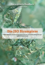 Die JSO Bicomplexe - Günther H. Heepen