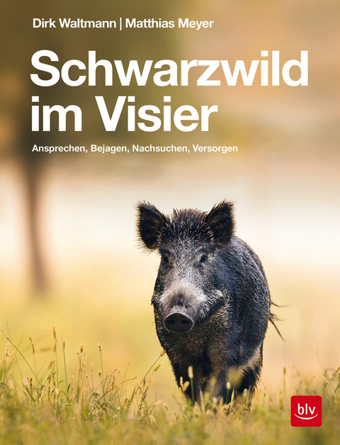 Schwarzwild im Visier - Matthias Meyer, Dirk Waltmann