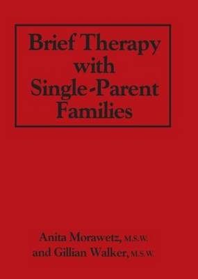 Brief Therapy With Single-Parent Families -  Anita Morawetz,  Gillian Walker