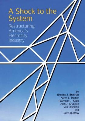 Shock to the System -  Timothy J. Brennan,  Dallas Burtraw,  Raymond J. Kopp,  Alan J. Krupnick,  Karen L. Palmer,  Vito Stagliano