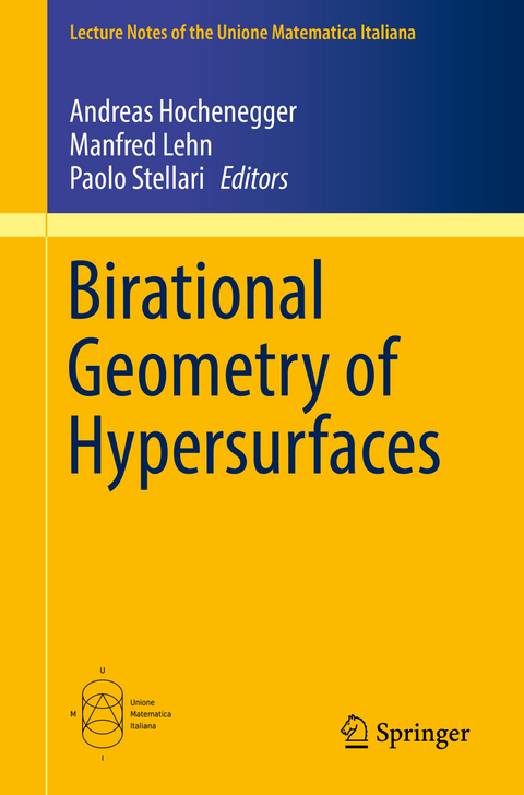 Birational Geometry of Hypersurfaces - 