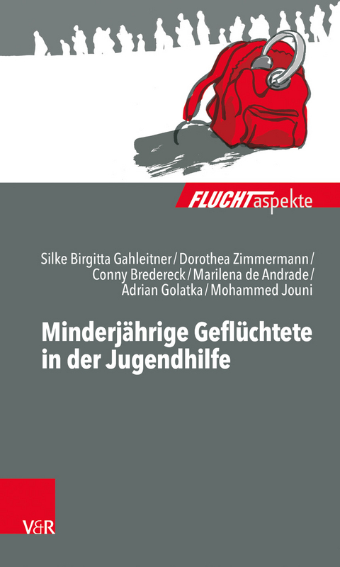 Minderjährige Geflüchtete in der Jugendhilfe - Dorothea Zimmermann, Silke Birgitta Gahleitner, Marilena de Andrade, Conny Martina Bredereck, Adrian Golatka, Mohammed Jouni