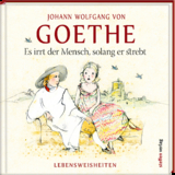 Es irrt der Mensch, solang er strebt - Johann Wolfgang von Goethe