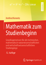 Mathematik zum Studienbeginn - Kemnitz, Arnfried