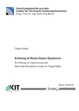 Kühlung in Rotor-Stator-Systemen - Fabian Bleier