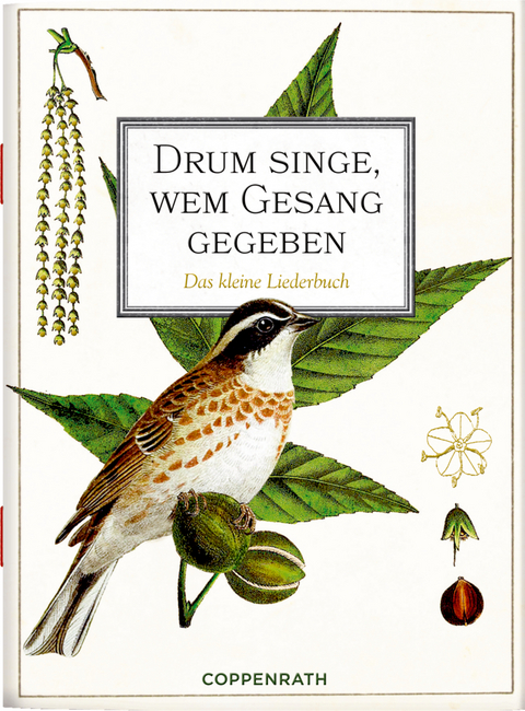 Drum singe, wem Gesang gegeben