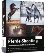 Pferde-Shooting - Haas Wiebke