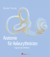 Anatomie für Heileurythmisten - Renate Thomas