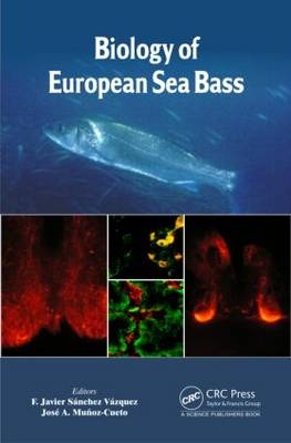 Biology of European Sea Bass - 