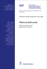 Piliers du droit social - 