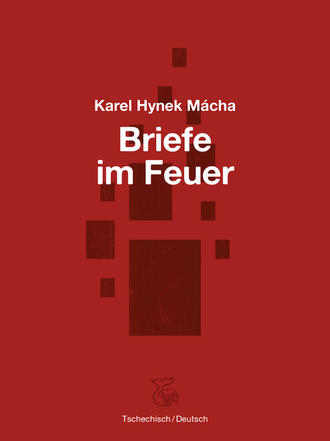 Briefe im Feuer - Karel Hynek Mácha