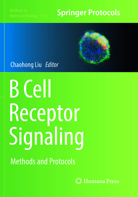 B Cell Receptor Signaling - 