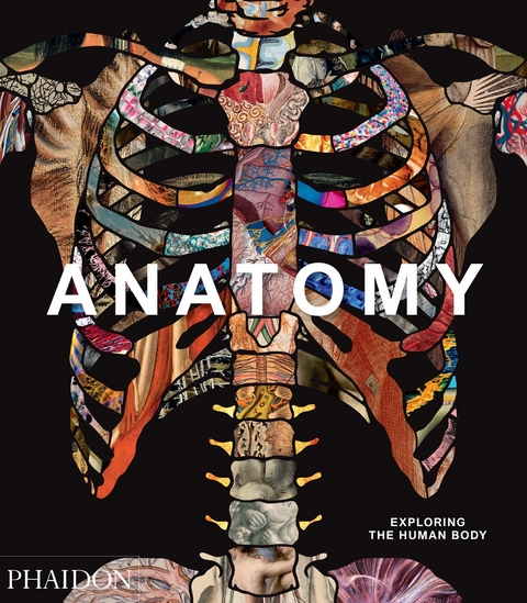 Anatomy: Exploring the Human Body - 