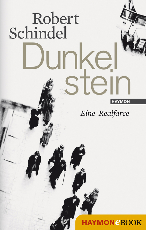 Dunkelstein - Robert Schindel