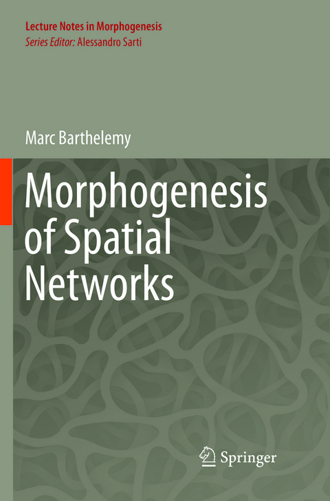 Morphogenesis of Spatial Networks - Marc Barthelemy