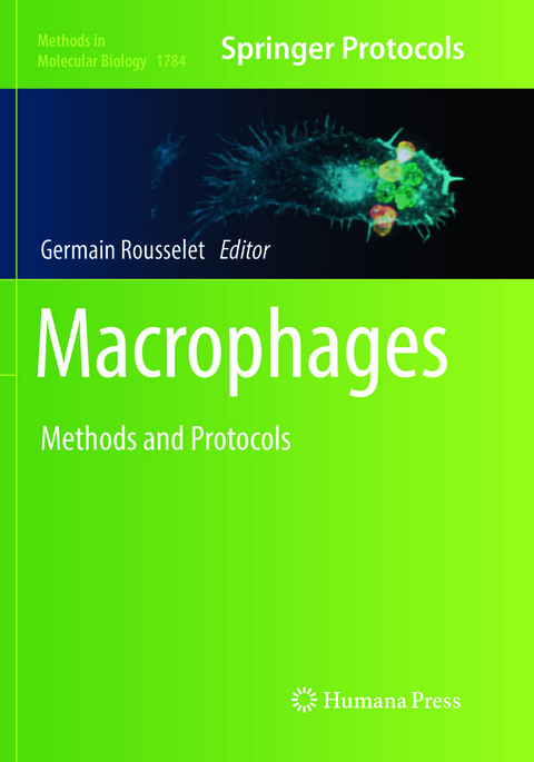 Macrophages - 