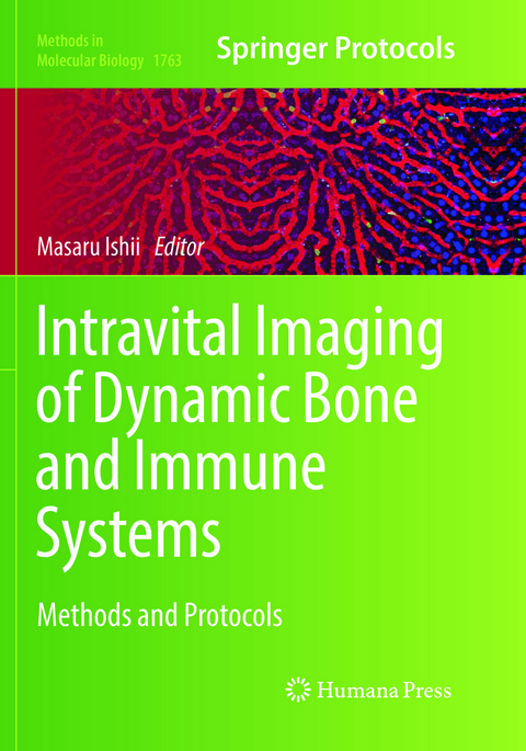 Intravital Imaging of Dynamic Bone and Immune Systems - 