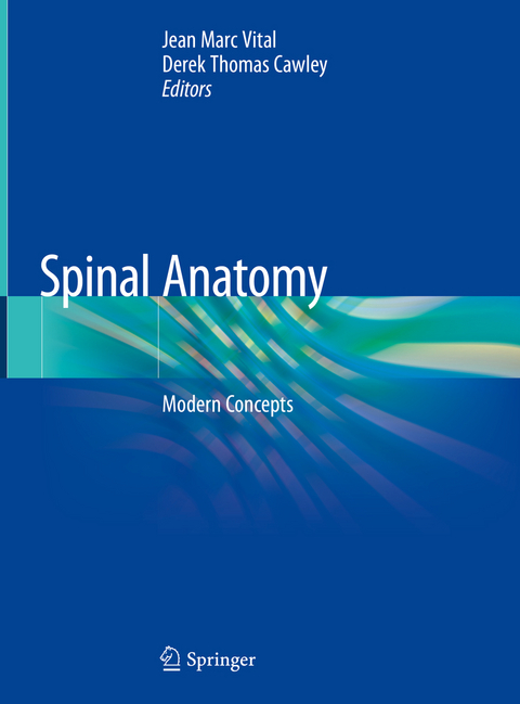 Spinal Anatomy - 