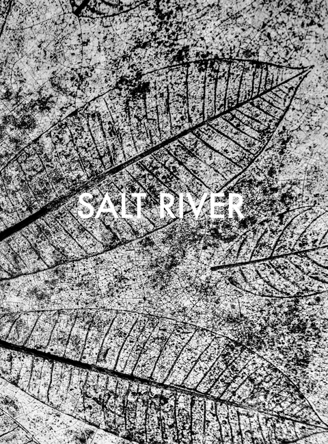 Salt River - Sebastian Posingis