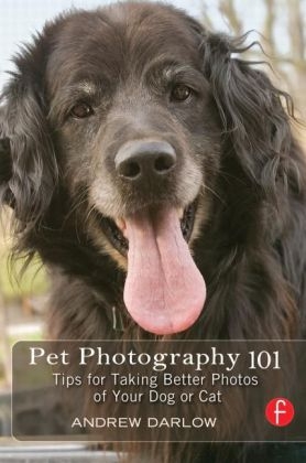 Pet Photography 101 -  Andrew Darlow