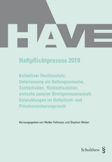 Haftpflichtprozess 2019 - Walter Fellmann