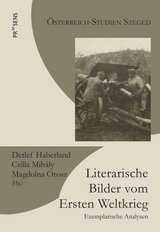 Literarische Bilder vom Ersten Weltkrieg - 