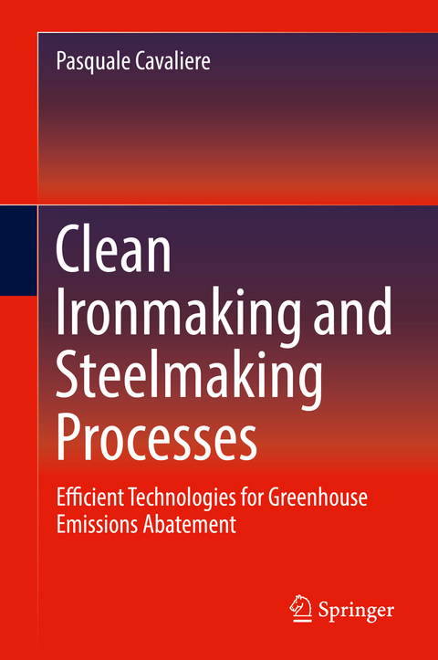 Clean Ironmaking and Steelmaking Processes - Pasquale Cavaliere