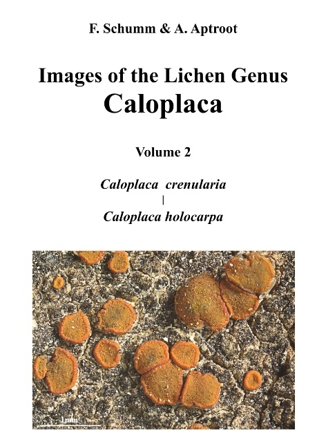 Images of the Lichen Genus Caloplaca, Vol 2 - Felix Schumm, André Aptroot