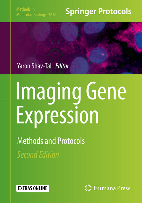 Imaging Gene Expression - 