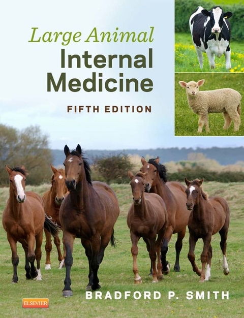 Large Animal Internal Medicine - E-Book - 