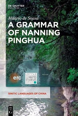 A Grammar of Nanning Pinghua - Hilário de Sousa