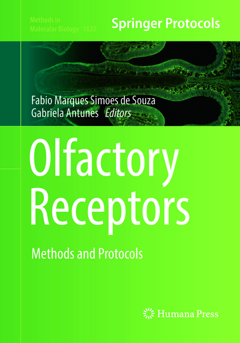 Olfactory Receptors - 