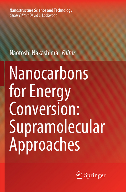 Nanocarbons for Energy Conversion: Supramolecular Approaches - 