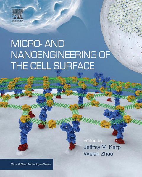 Micro- and Nanoengineering of the Cell Surface - 