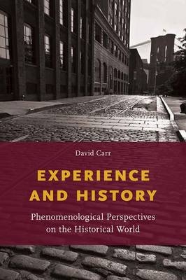 Experience and History -  David Carr