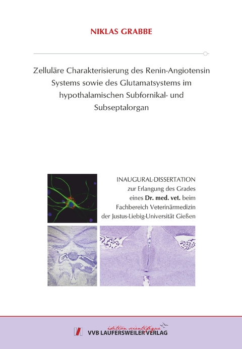 Zelluläre Charakterisierung des Renin-Angiotensin Systems sowie des Glutamatsystems im hypothalamischen Subfornikal- und Subseptalorgan - Niklas Grabbe