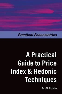 Practical Guide to Price Index and Hedonic Techniques -  Ana M. Aizcorbe