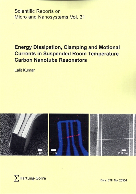 Energy Dissipation, Clamping and Motional Currents in Suspended Room Temperature Carbon Nanotube Resonators - LALIT KUMAR