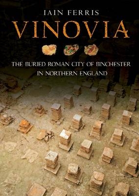 Vinovia -  Iain Ferris