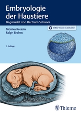 Embryologie der Haustiere - Kressin, Monika; Brehm, Ralph; Schnorr, Bertram