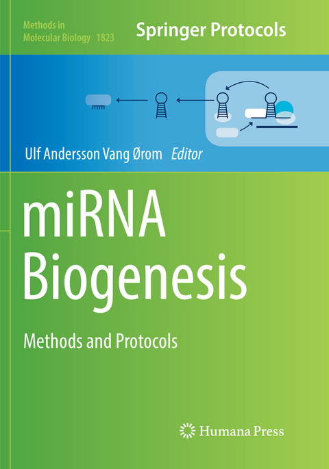 miRNA Biogenesis - 