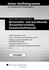 Holzer Stofftelegramme Baden-Württemberg / Holzer Stofftelegramme Baden-Württemberg – Wirtschafts- und Sozialkunde (Gesamtwirtschaft), Gemeinschaftskunde - Holzer, Volker; Bauder, Markus; Patzig, Ulrich; Paaß, Thomas; Seifritz, Christian