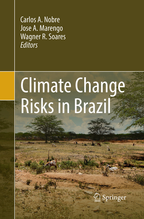 Climate Change Risks in Brazil - 