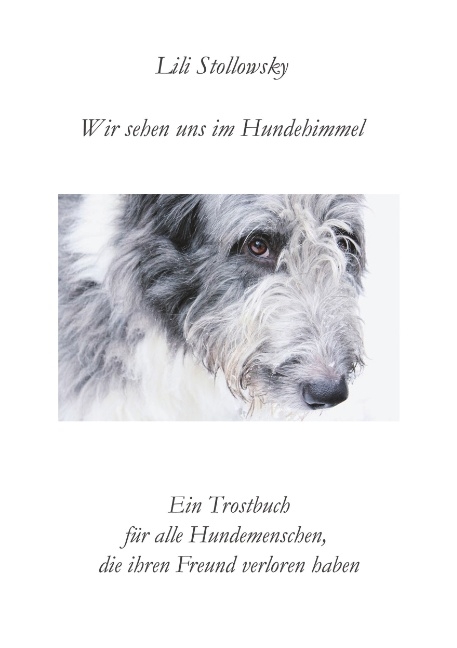 Wir sehen uns im Hundehimmel - Lili Stollowsky