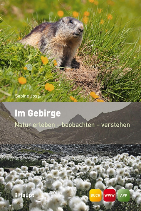 Im Gebirge - Sabine Joss