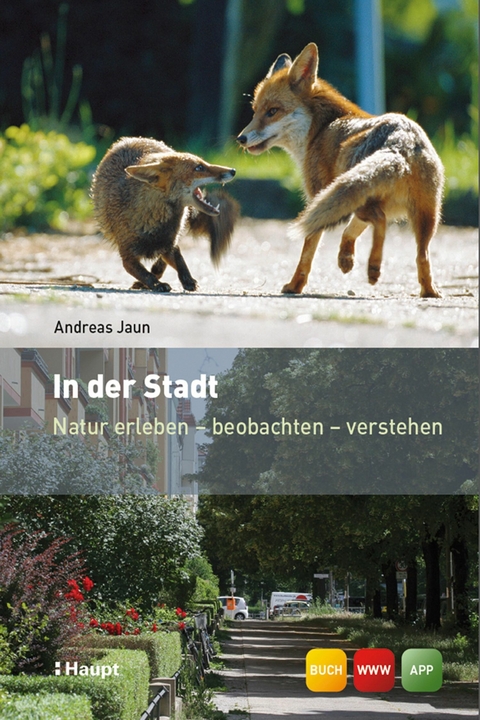 In der Stadt - Andreas Jaun