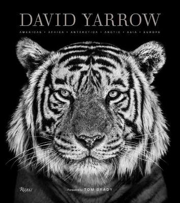 David Yarrow Photography - David Yarrow, Tom Brady