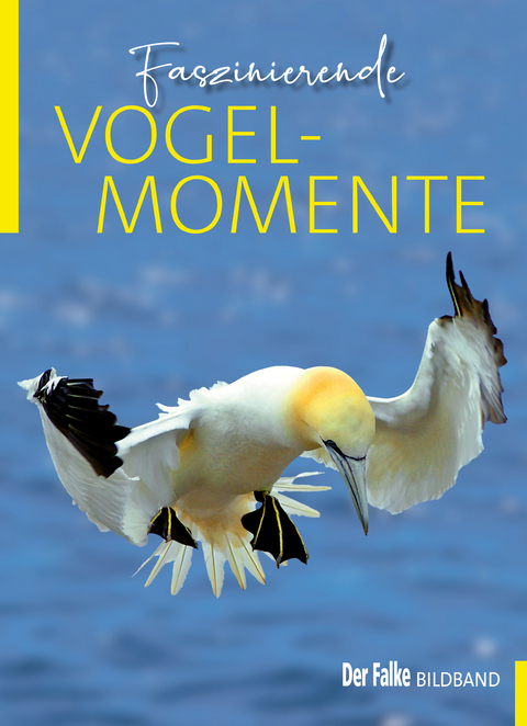 Faszinierende Vogelmomente - 